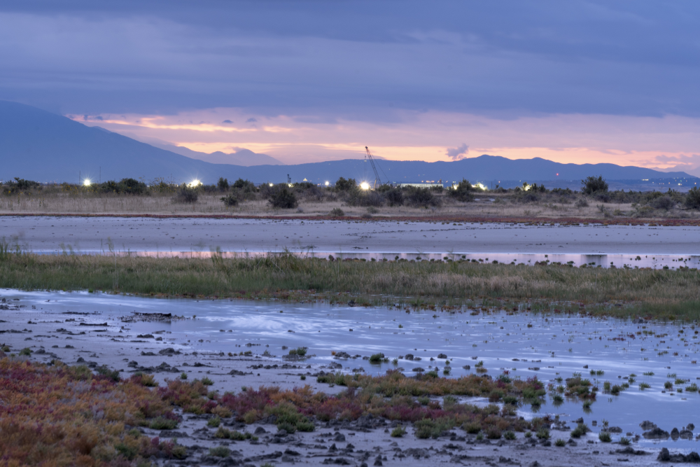 Light pollution from nearby construction reaches saline wetlands of Audubon's Gillmor Sanctuary in Salt Lake County, Utah, on October 1, 2019. Photo by Evan Barrientos/Audubon Rockies